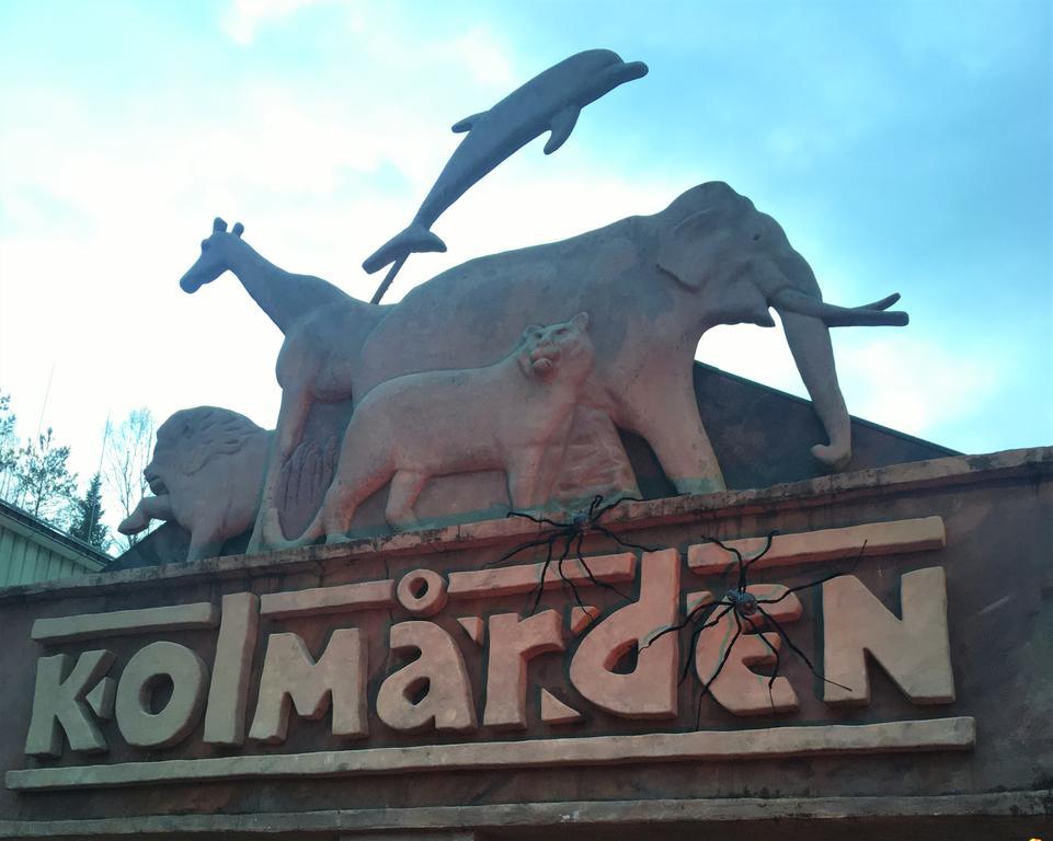 Kolmardens Vandrarhem Exterior foto